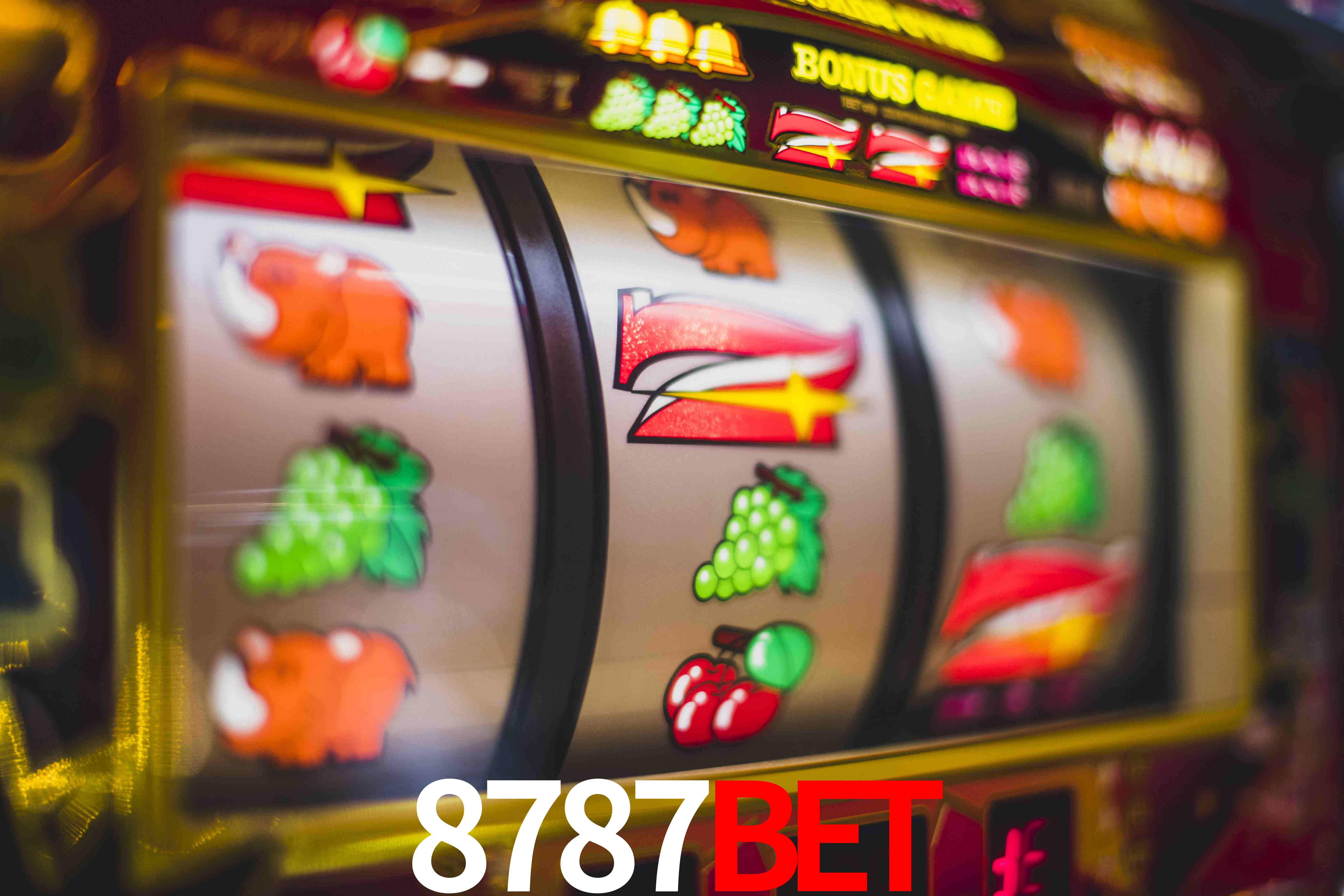 Tennis Betting 8787bet