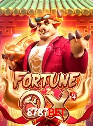 8787BET.COM