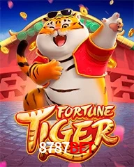 8787BET.COM